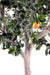 Kunstigt Orangetræ 280Cm Til Indendørs Grøn Orange
