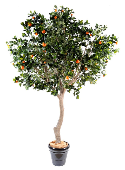 Kunstigt Orangetræ 280Cm Til Indendørs Grøn Orange
