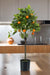 Orange Træ Kunstig Plante - H75Cm, Ø12Cm