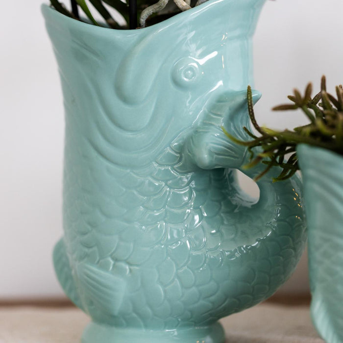 Hvid Amabilis Orchid Og Crassula Hobbit Orchid Med Turkise Potter