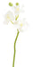 Kunstig Phalaenopsis Orkidé 3 Blomster Hvid 45 Cm