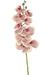 Kunstig Orkidé Real Touch Deluxe Fuchsia/Hvid