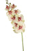 Real Touch Deluxe Artificial Orchid Pink/White