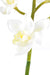 Kunstig Cymbidium Orchid 100Cm Hvid
