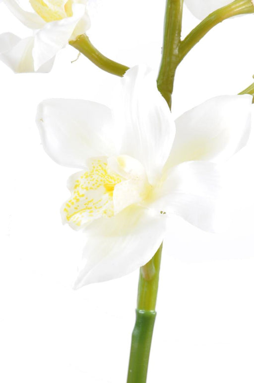 Kunstig Cymbidium Orchid 100Cm Hvid