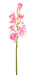 Kunstig Cymbidium Orchid 100Cm Pink