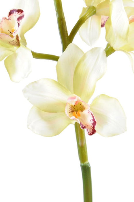 Kunstig Cymbidium Orchid Creme 100Cm