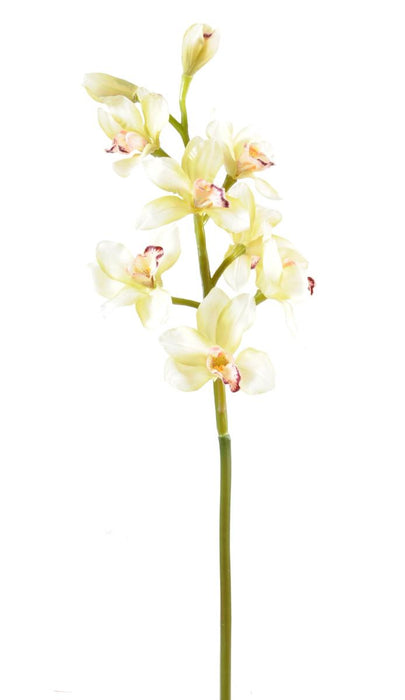 Kunstig Cymbidium Orchid Creme 100Cm