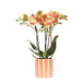 Jamaica Orange Orchid Med Malet Stripe Pot