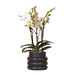 Lausanne Orchid - Black Bubble Pot - White Phalaenopsis