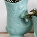 Hvid Phalaenopsis Amabilis Orkidé Med Fisk Turkis Pot