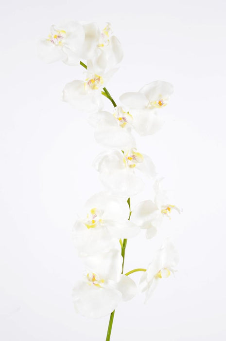 Kunstig Phalaenopsis Orkidé 10 Blomster 160 Cm Hvid
