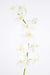 Kunstig Phalaenopsis Orkidé 10 Blomster 160 Cm Hvid