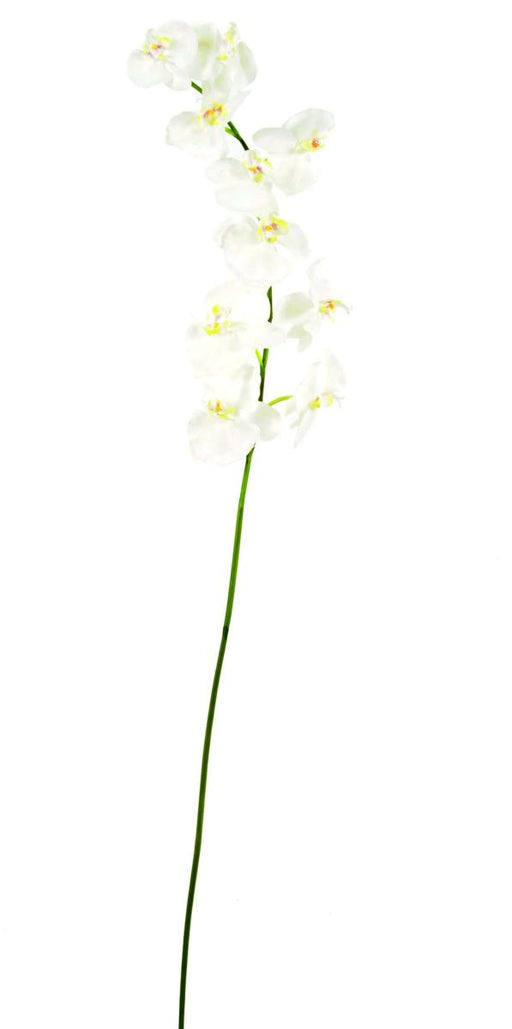 Kunstig Phalaenopsis Orkidé 10 Blomster 160 Cm Hvid