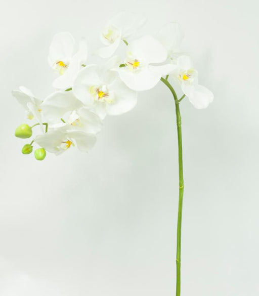 Kunstig Phalaenopsis Orchid 100Cm Hvid Blomst