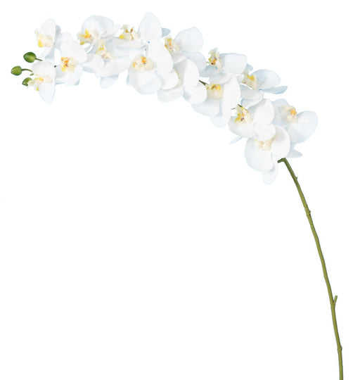 Kunstig Phalaenopsis Orkidé 15 Blomster 125 Cm