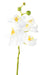 Kunstig Phalaenopsis Orkidé 60 Cm Hvid 6 Blomster