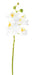 Kunstig Phalaenopsis Orkidé 60 Cm Hvid 6 Blomster