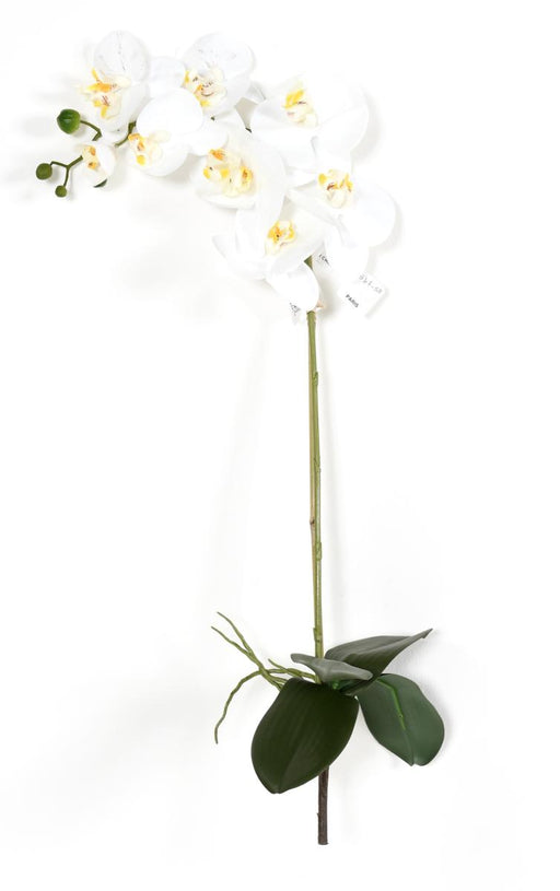 Kunstig Phalaenopsis Orkidé 76 Cm Hvid