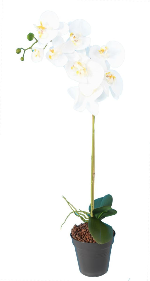 Kunstig Phalaenopsis Orkidé 76 Cm Hvid