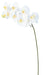 Kunstig Phalaenopsis Orkidé 9 Blomster 98 Cm Hvid