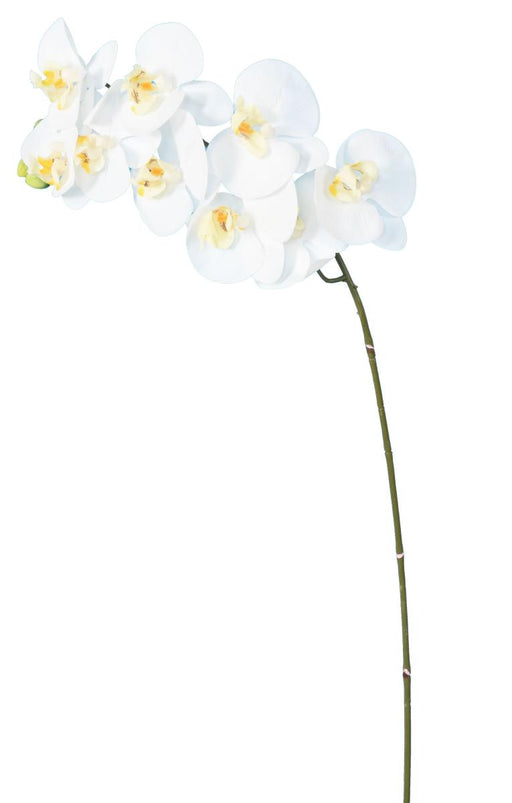 Kunstig Phalaenopsis Orkidé 9 Blomster 98 Cm Hvid