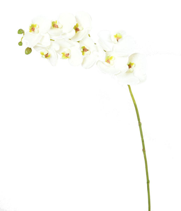 Kunstig Phalaenopsis Orkidé Med Stængel 77 Cm