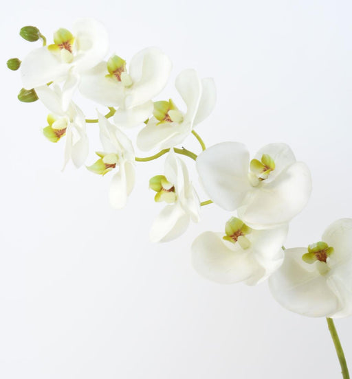 Kunstig Phalaenopsis Orkidé Med Stængel 77 Cm