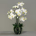Kunstig Phalaenopsis Orchid H77Cm Creme