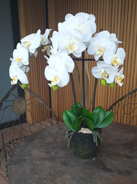 Kunstig Phalaenopsis Orchid H.55 Cm Creme