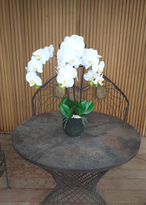 Kunstig Phalaenopsis Orchid H.55 Cm Creme