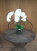 Kunstig Phalaenopsis Orchid H.55 Cm Creme