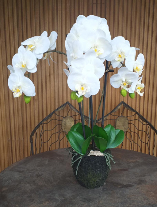 Kunstig Phalaenopsis Orchid H.55 Cm Creme