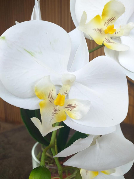 Kunstig Phalaenopsis Orchid Glas Pot 42Cm Creme