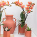 Orange Phalaenopsis Orkidé - Ø9Cm - Blomstrende Stueplante