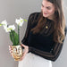 Hvid Phalaenopsis Orkidé Med Face-2-Face Guldpotte