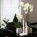 Hvid Phalaenopsis Orkidé I Sølvpotte Amabilis