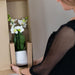 Hvid Phalaenopsis Orchid Pot Guld Diamant