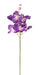 Kunstig Vanda Orchid Lilla 70 Cm Dekoration