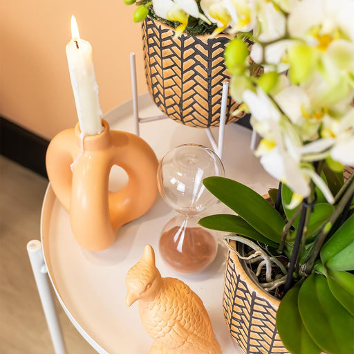 Peach Kakadue Ornament - Plante Dekoration