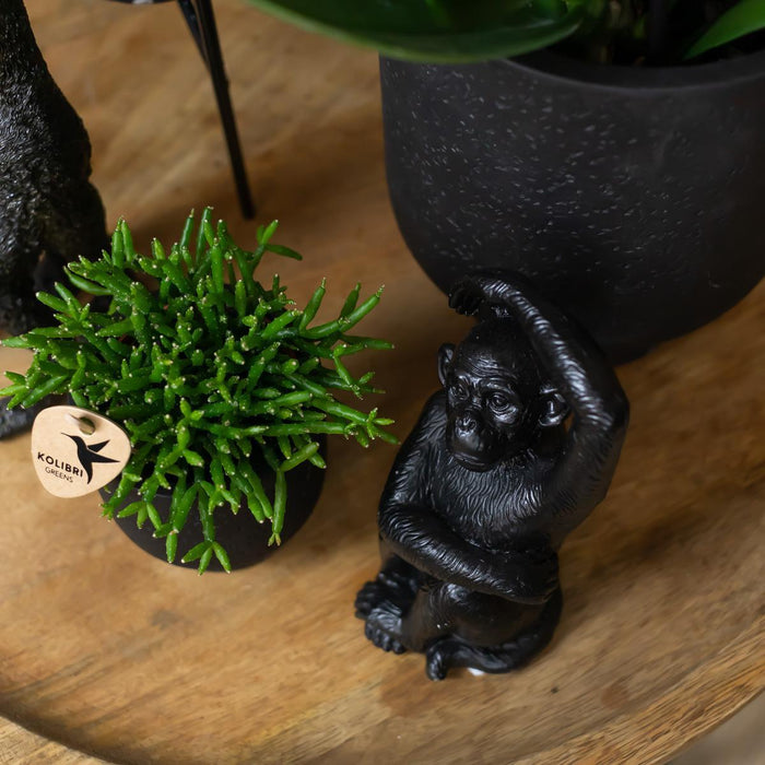 Sitting Monkey Dekorativ Ornament - Sort