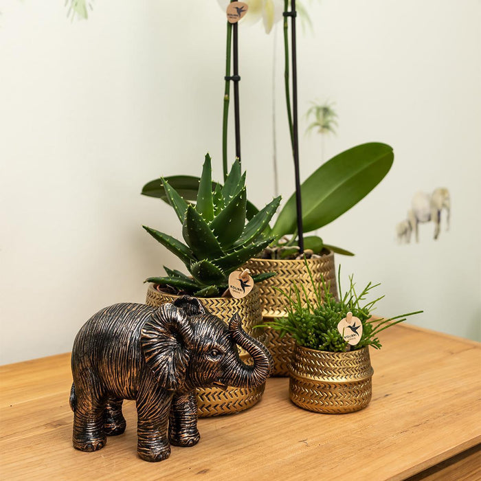 Sort Elefant Ornament - Hjem Dekoration