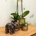 Sort Elefant Ornament - Hjem Dekoration