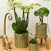 Long Tail Monkey Ornament - Guld