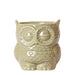Owl Bloempot - Grøn Dekorativ Potte