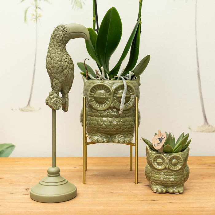 Owl Bloempot Green - Keramisk Dekorativ Potte