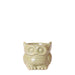 Owl Bloempot Green - Keramisk Dekorativ Potte