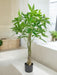 Pachira Aquatica - Kunstig Grøn Plante