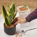 Naturlig Mulch Jord Topper