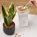 Naturlig Mulch Jord Topper